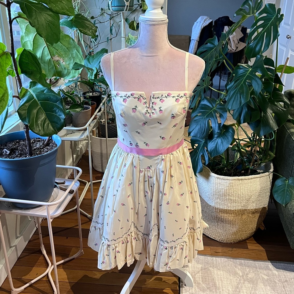 Gorgeous cream Betsey Johnson mini dress with pink roses, brand new with tags